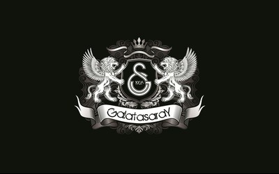 猫头鹰体育精华-B费赛后拥抱对手显风度