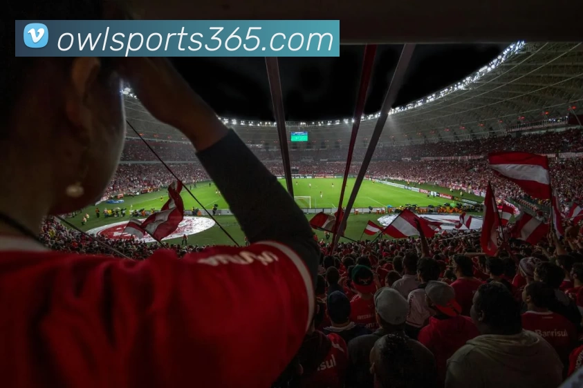 OwlSports365APP 封面图